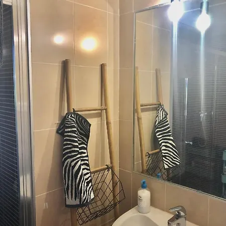 Apartman Spacious Beachfront Penthouse